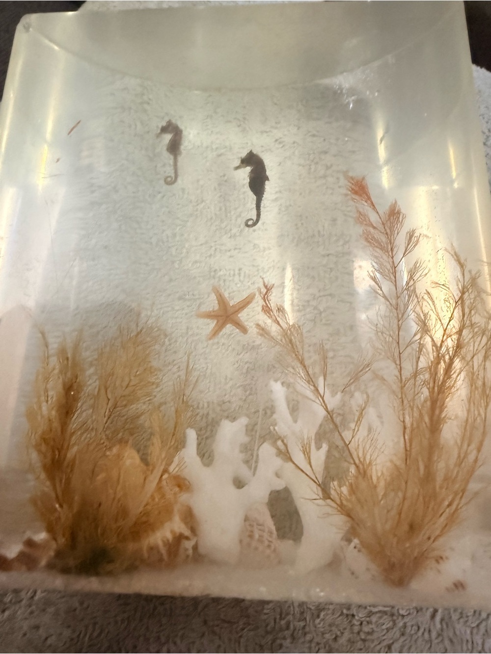 Natural Seagrass & Coral Aquarium Décor - Neutral Tan